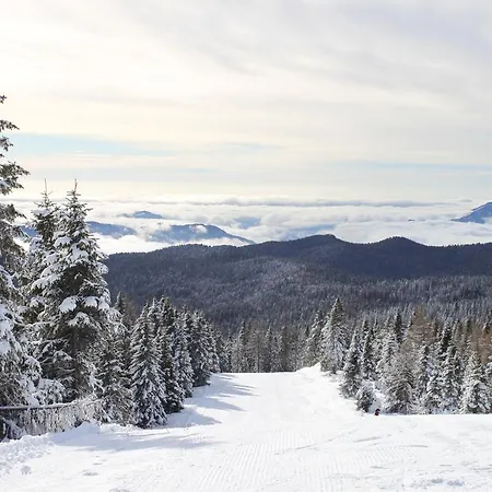Rifugio Verenetta 3*